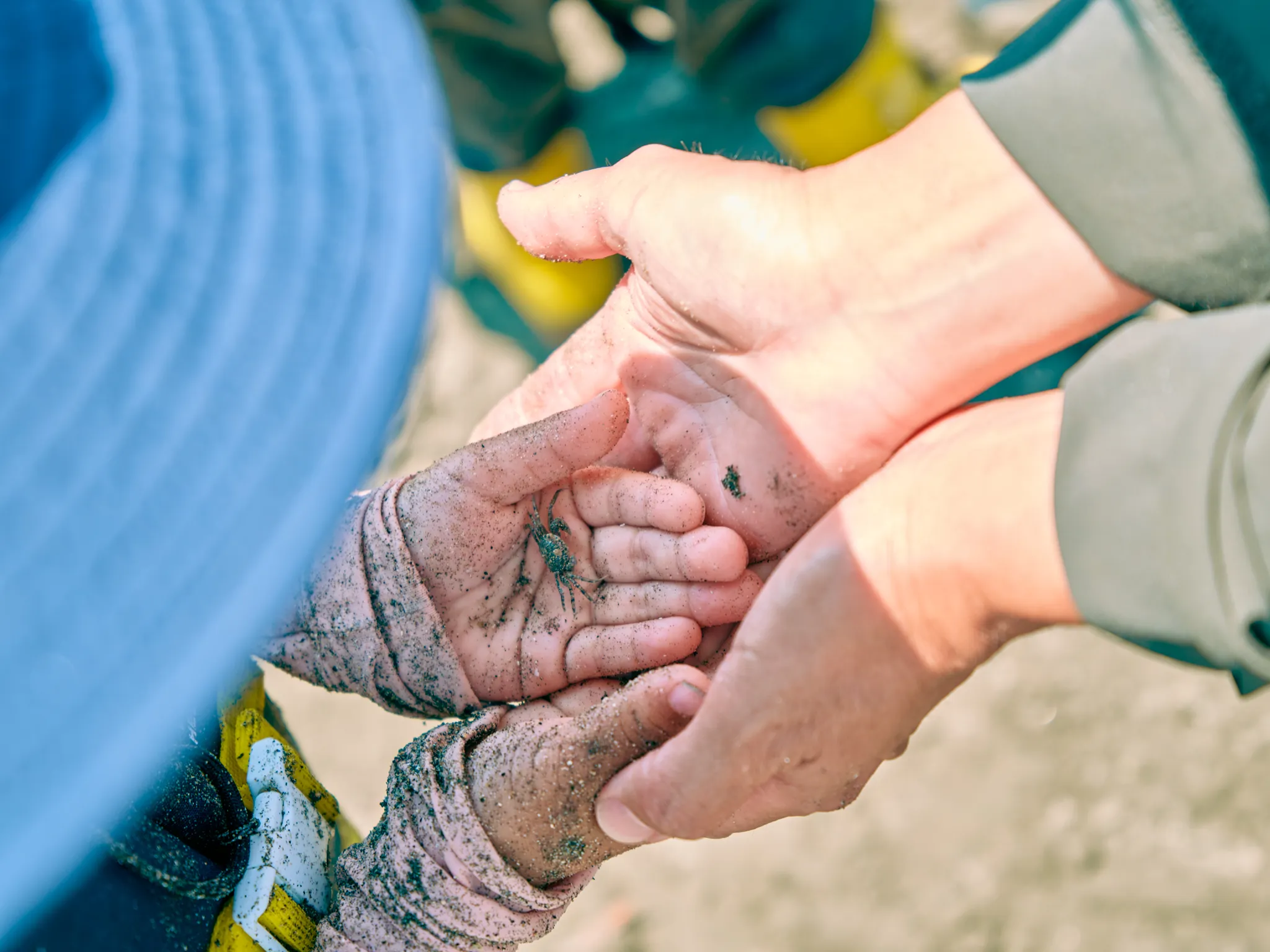 プログラムの様子