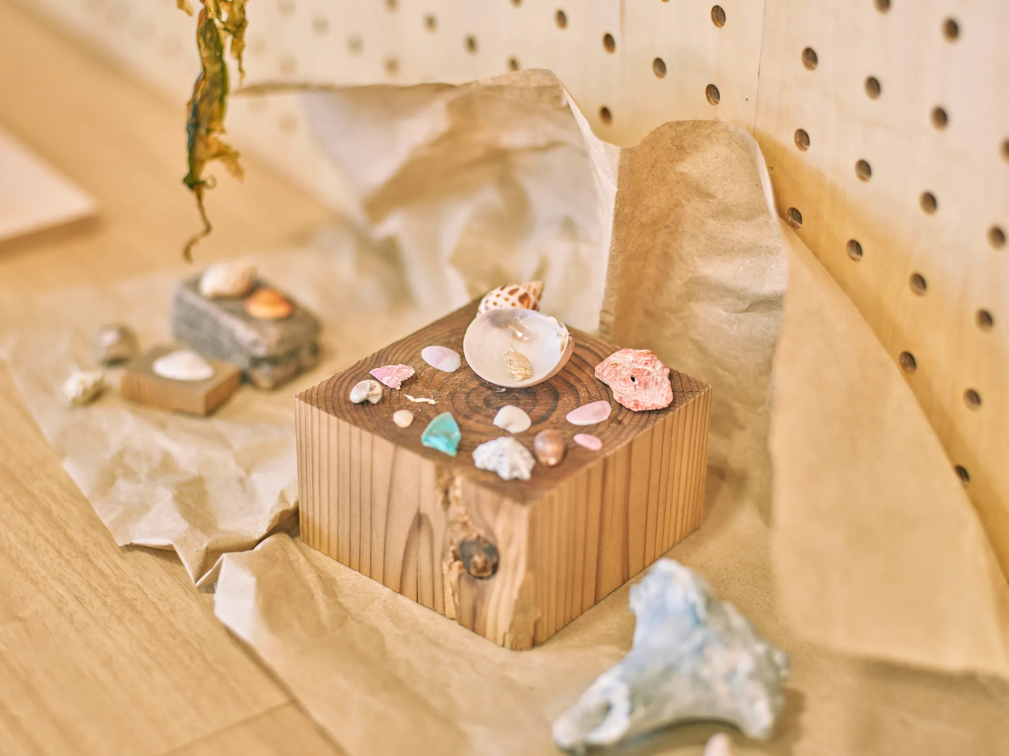 プログラムの様子