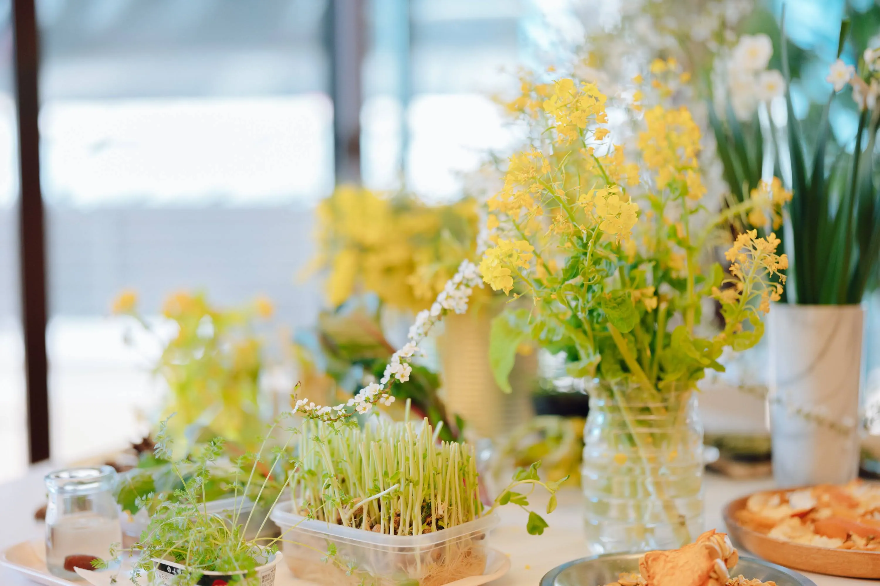 プログラムの様子