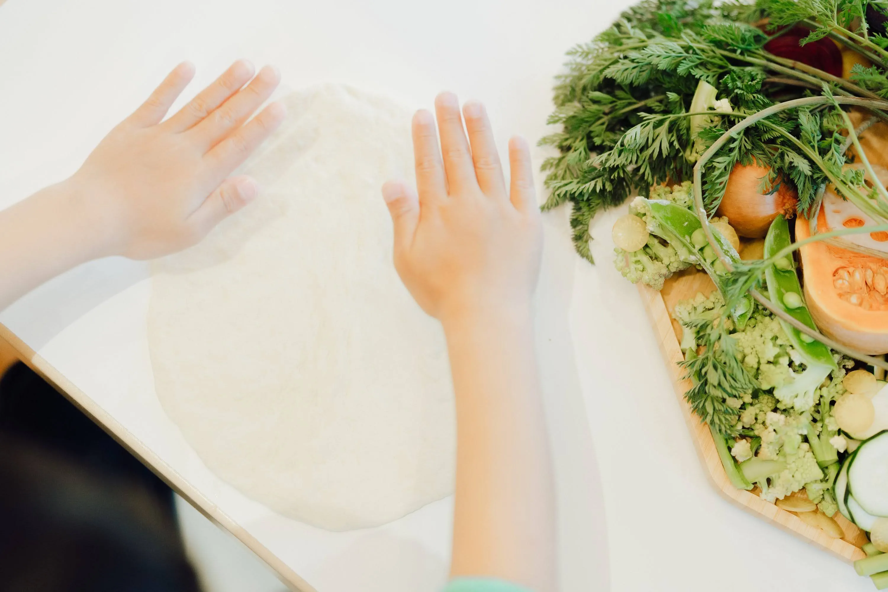 プログラムの様子