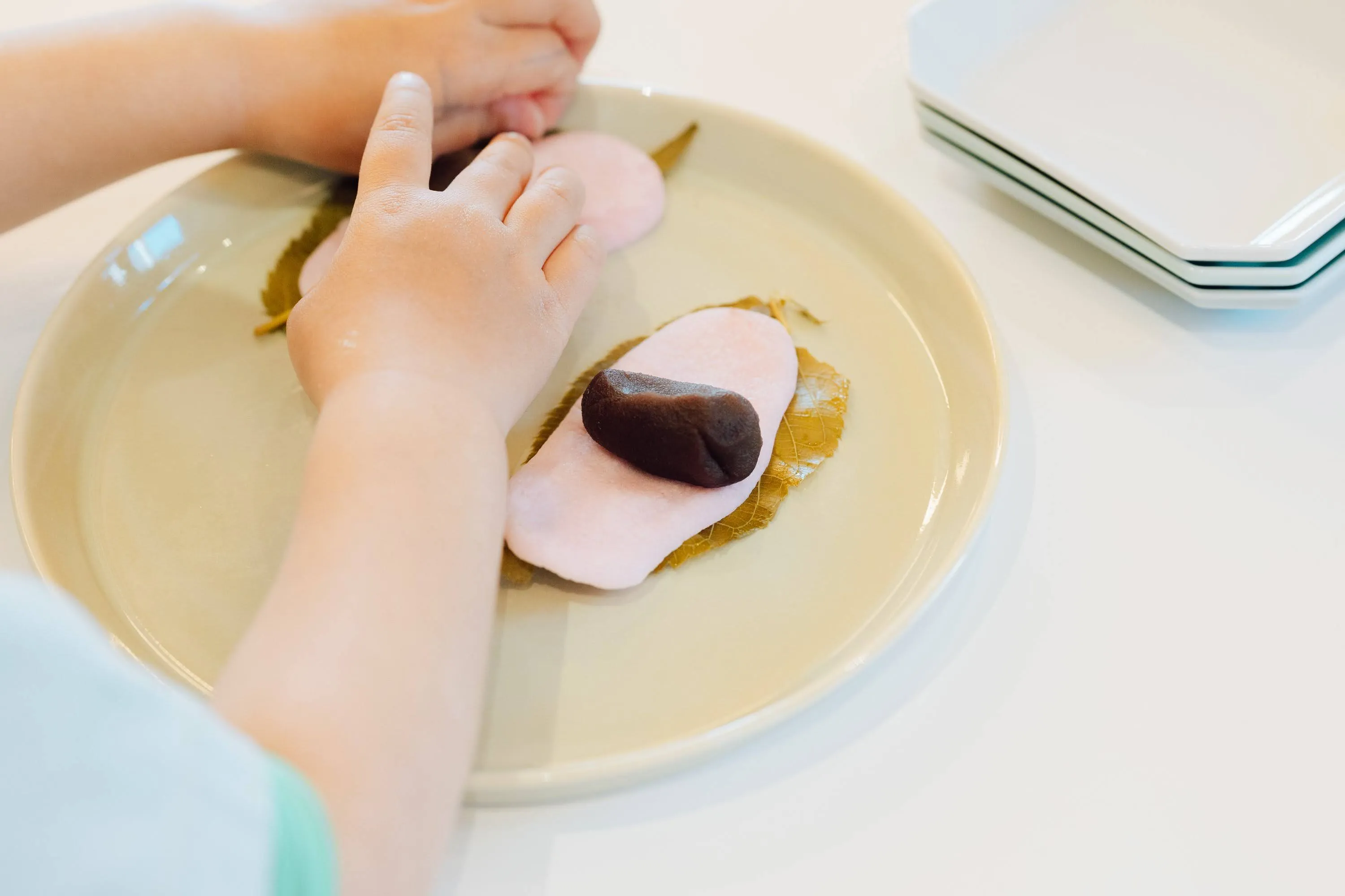 プログラムの様子