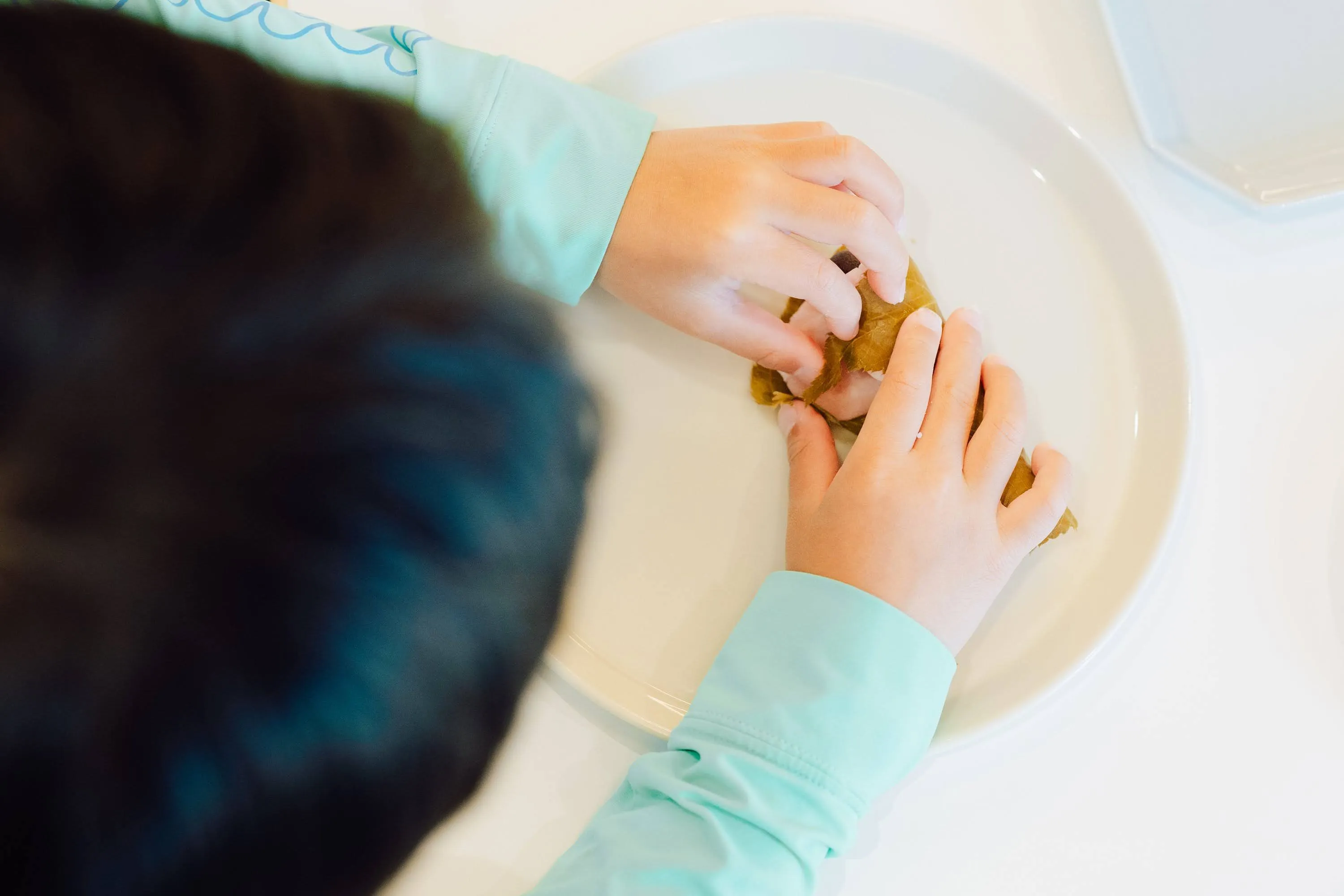 プログラムの様子