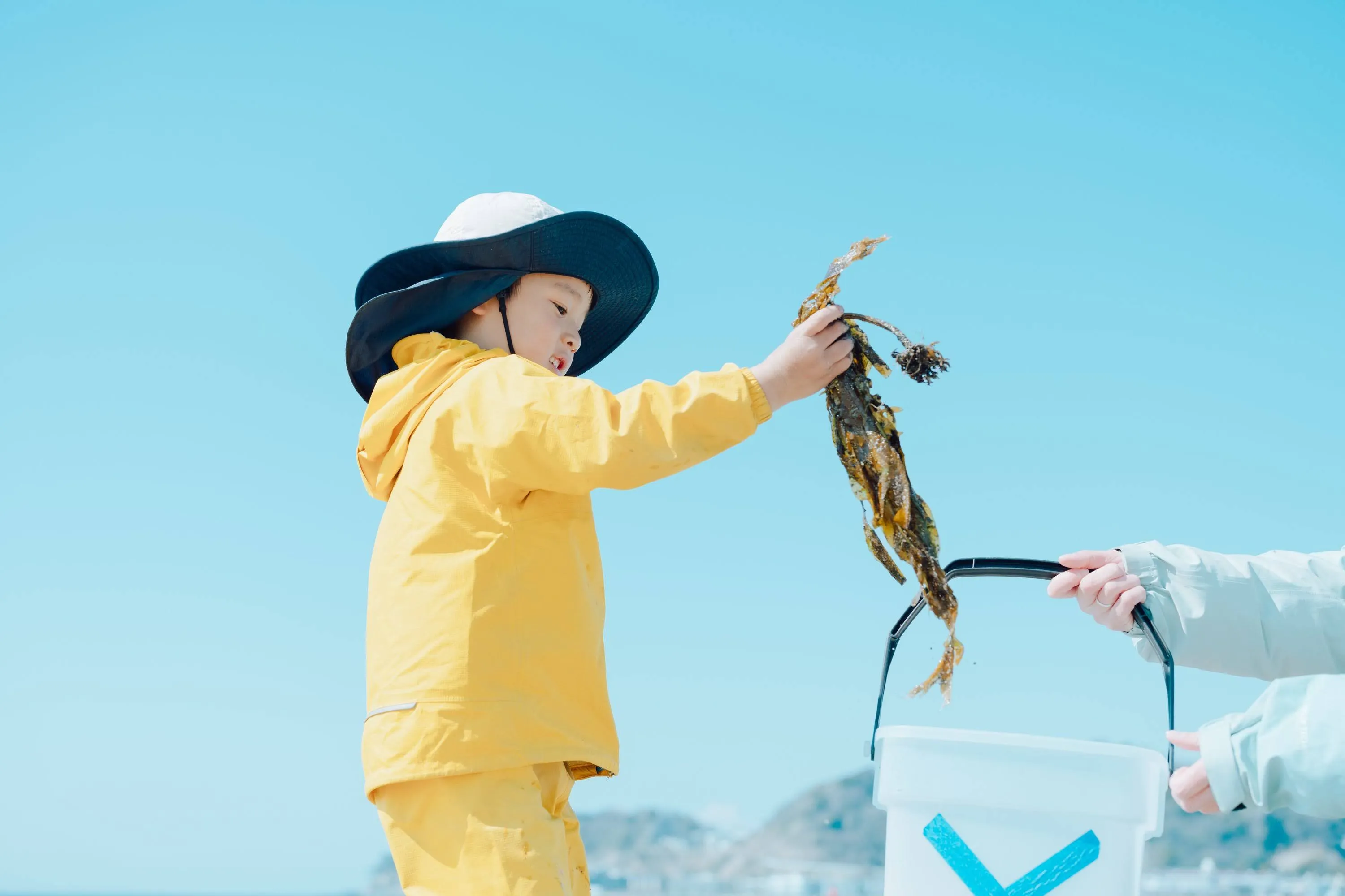 プログラムの様子