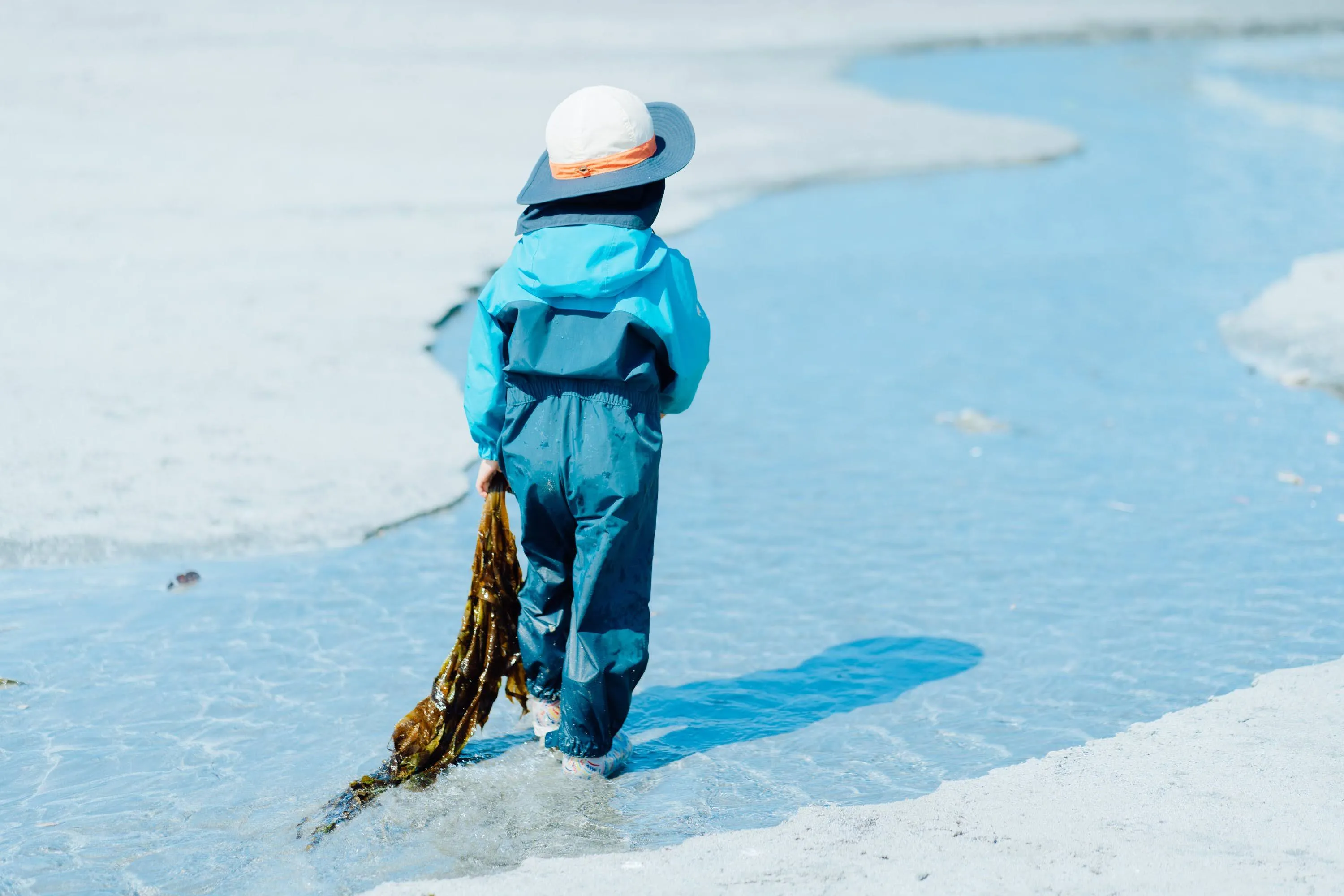 プログラムの様子