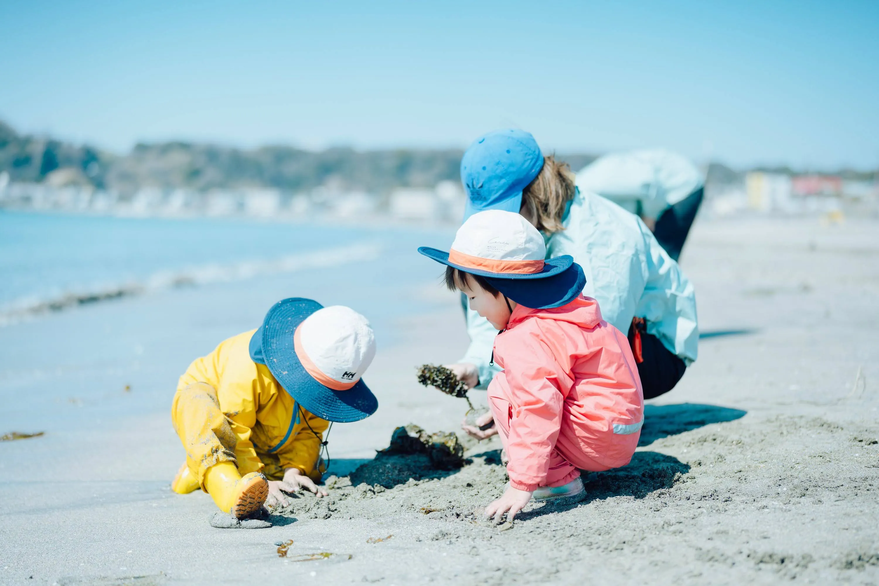 プログラムの様子