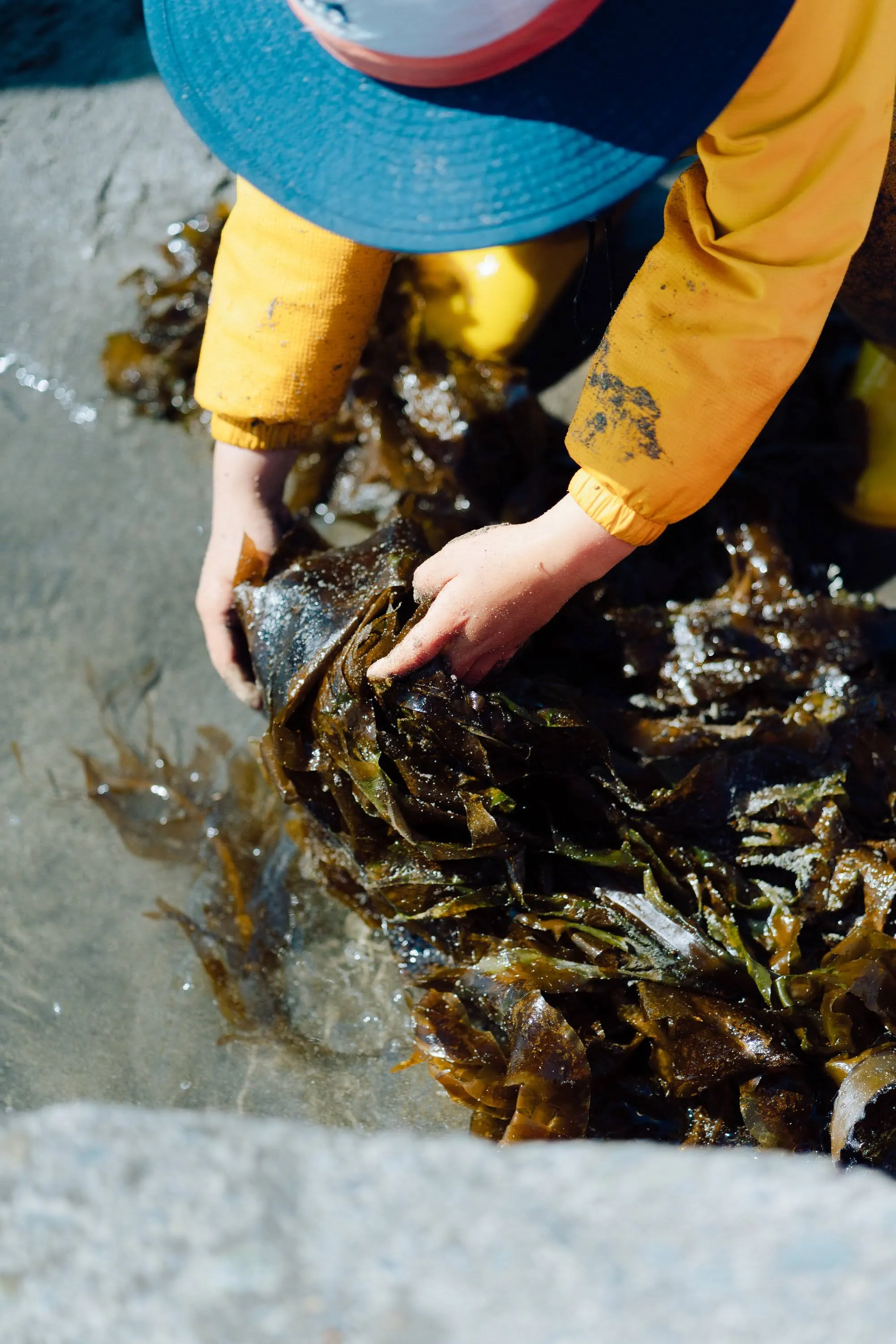 プログラムの様子