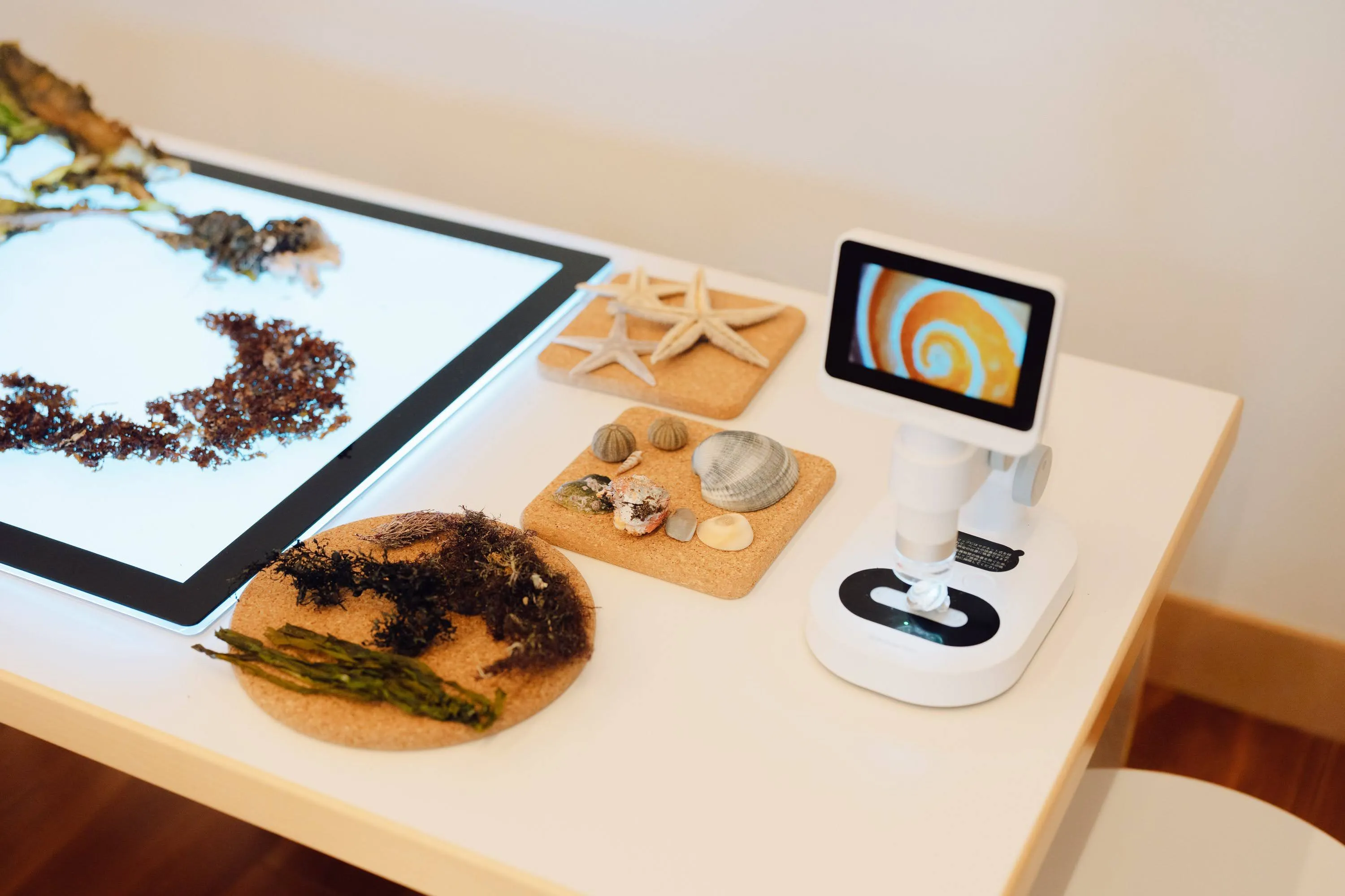 プログラムの様子